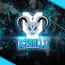 RF ICEBULLS